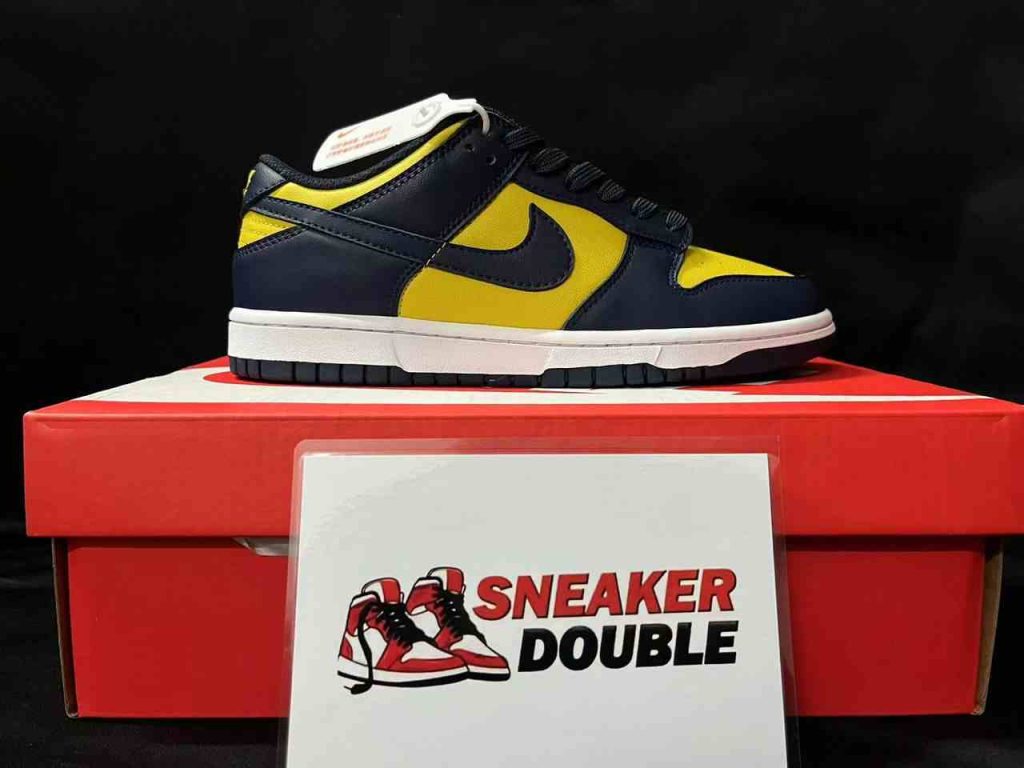 Nike Dunk Low Michigan 55 SB DUNKS MICIGAN 6
