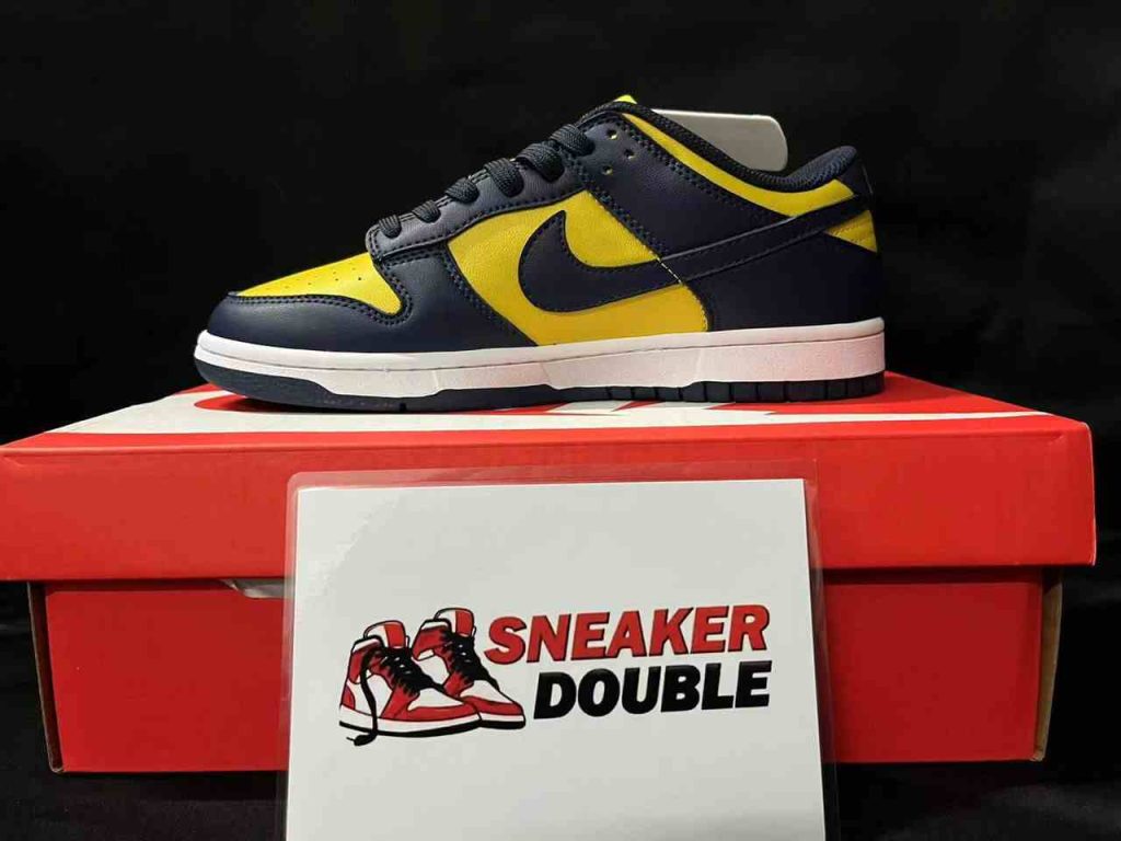 Nike Dunk Low Michigan 54 SB DUNKS MICIGAN 7