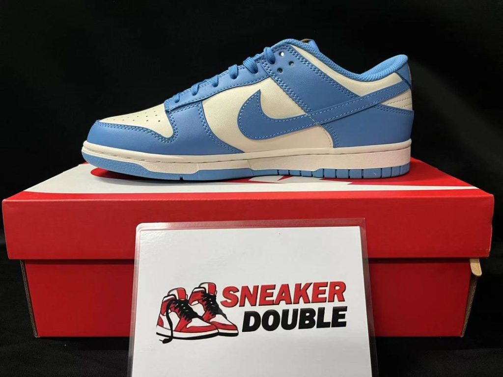 Nike Dunk Low Coast 60 sb dunks coast 2