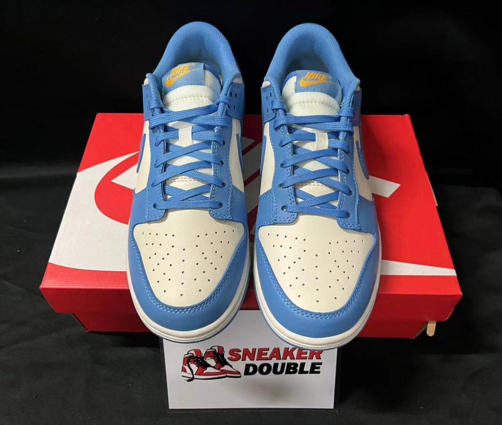 Nike Dunk Low Coast 62 sb dunks coast 4